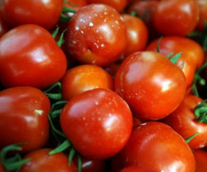 Hà Nội: Cà chua tăng giá dựng đứng lên đến 60.000 đồng/kg, bà nội trợ phát hoảng