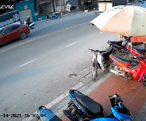 Bức xúc cảnh cô gái hồn nhiên thả chó chạy nghênh ngang giữa đường gây tai nạn