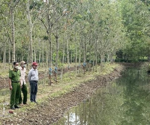Rủ nhau đi chơi, 2 bé gái 9 tuổi ở Bình Phước tử vong dưới mương nước giữa rừng cao su