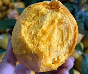 Siêu thực phẩm Amazon bán 1,5 triệu/kg, chợ Việt chỉ 15.000 đồng