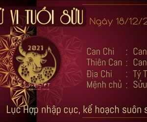 Tử vi Thứ Bảy ngày 18/12/2021 của 12 con giáp: Sửu đón tài lộc, Tị đề phòng tiểu nhân