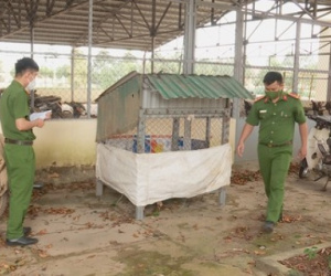 Nhốt con nợ vào chuồng sắt rồi lôi ra đánh chết