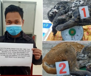 Bắt giữ đối tượng chuyên đưa báo gấm, beo lửa vào quán nhậu