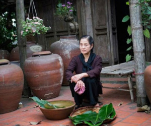 Con dâu đón lên phụng dưỡng, chưa kịp hạnh phúc thì tôi điếng người khi nghe cháu trai nói: Mẹ lừa để lấy 2 tỷ và nhà ở quê của bà