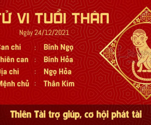 Tử vi thứ 6 ngày 24/12/2021 của 12 con giáp: Thân phát tài, Hợi gặp tiểu nhân