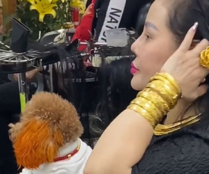 Bà cô tay đầy vàng, chó cưng cũng đeo lắc vàng nổi bật salon tóc, hé lộ sở thích đặc biệt