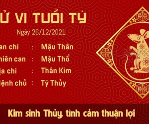Tử vi Chủ Nhật ngày 26/12/2021 của 12 con giáp: Tý đón vận may tài chính, Dần đề phòng tiểu nhân