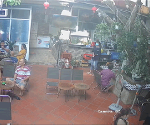 Đang thư thái uống cà phê, người đàn ông suýt bị gốc cây rơi vào đầu