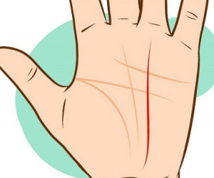 Những đường chỉ tay quan trọng nhất mà ai cũng nên biết để tự coi tướng cho chính mình