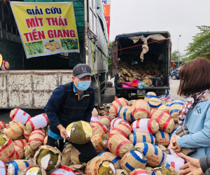 Người dân mua ‘giải cứu’ trái cây miền Tây từ Lạng Sơn về Hà Nội