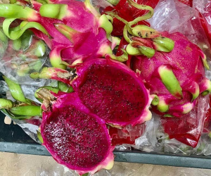 Hàng vip ‘dội chợ’ Hà Nội, thanh long đỏ giá 4.000 đồng/kg
