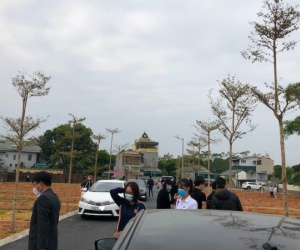 Mất ngủ vì ôm nhiều đất, cuối năm cơn sốt dội về vội thoát hàng