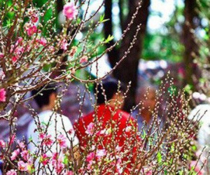Dự báo thời tiết dịp Tết Nguyên đán Nhâm Dần 2022: Miền Bắc liệu có rét đậm, rét hại?