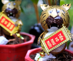 Chiêm ngưỡng dừa bonsai hình hổ thu hút khách trước Tết Nhâm Dần