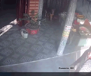 Đòi nợ thuê, thanh niên cầm thớt nặng cả yến đập đầu người phụ nữ