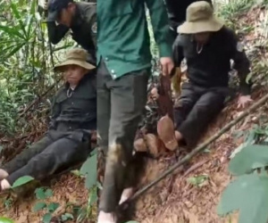 Cán bộ bảo vệ rừng bị chấn thương khi rượt đuổi lâm tặc