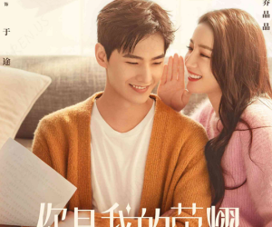 15 phim Hoa ngữ có lượt xem theo ngày cao nhất năm 2021: Dương Dương - Nhiệt Ba dẫn đầu bảng