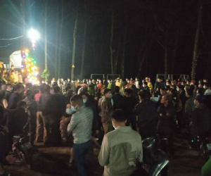 Tạm giữ sư trụ trì và 3 người cưa hạ cây thông trước cửa chùa