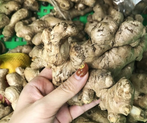 5 thực phẩm giữ cho đường ruột khỏe mạnh vào mùa đông