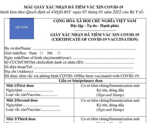 Vì sao mẫu mới giấy xác nhận tiêm vắc-xin Covid-19 có tới 7 mũi tiêm?