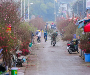 Sắc xuân xuống phố, nhiều tiểu thương 'méo mặt' vì thị trường Tết ảm đạm