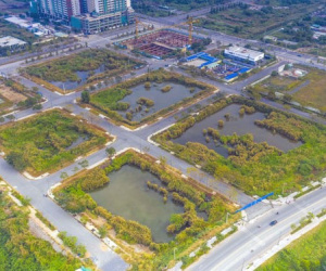 Chủ tịch UBND TP HCM thông tin về "tâm thư của Tân Hoàng Minh"