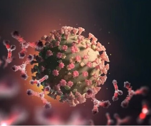 Giới khoa học dự đoán gì về vật chủ động vật mang mầm mống virus corona và đại dịch SARS tiếp theo?