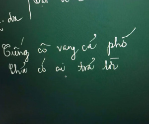 Giảng bài trong lớp online nhưng không thấy học sinh trả lời, cô giáo liền viết mấy câu đầy bất lực