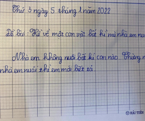 Học sinh tiểu học viết vỏn vẹn 2 câu trong bài văn tả con vật, giáo viên đọc xong mà lắc đầu chịu thua