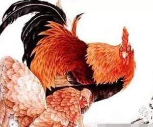 Từ 17/1 đến 29/1, tai bay vạ gió qua đi, 3 con giáp phải dùng đến máy đếm tiền để đếm, sự nghiệp lên đến đỉnh cao