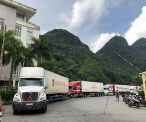 Lào Cai tạm dừng tiếp nhận xe chở trái cây xuất khẩu Trung Quốc từ hôm nay 18-1