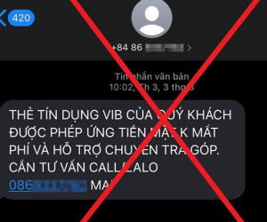 Cảnh báo hình thức tội phạm công nghệ mới: Mời rút tiền qua thẻ tín dụng