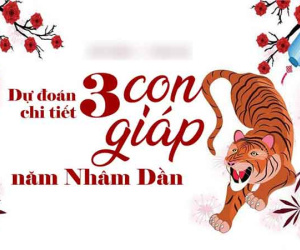 Tử vi 3 con giáp trong năm Nhâm Dần: Nhiều lộc nhiều lá, may mắn tới tấp, đầu năm ví rỗng cuối năm có nhà
