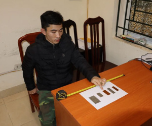 Ảnh minh họa