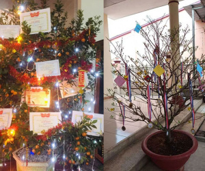 Hội học sinh trổ tài trang trí cây cảnh dịp Tết khiến dân tình xuýt xoa: Trend này ai mà chơi lại?