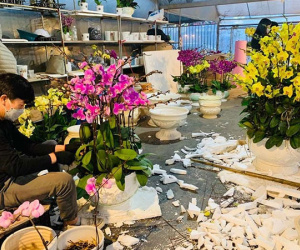 Suốt 20 ngày cực khổ, anh thợ chốt 100 triệu đồng ăn Tết