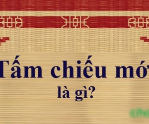'Tấm chiếu mới' là gì? Dùng để chỉ ai?