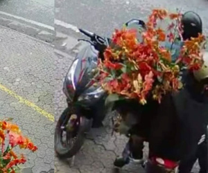 Liên tiếp 2 ngày mất 2 chậu hoa lan trị giá cả chục triệu, uất ức hơn khi thấy chân dung kẻ trộm trong camera