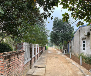 Về quê ăn Tết, giật mình giá đất tăng 'dựng đứng'