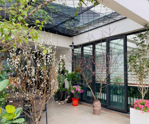 Không gian ấm cúng ngày Tết nhà ca sĩ Trọng Tấn