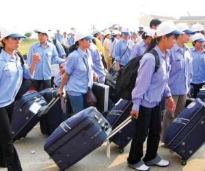 Chính sách mới có hiệu lực: Điều chỉnh tiền lương, thu nhập đóng BHXH