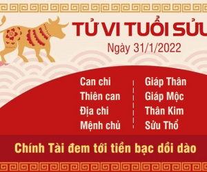 Tử vi thứ 2 ngày 31/02/2022 của 12 con giáp: Sửu đón tài lộc, Tị gặp quý nhân
