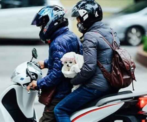 Dự báo thời tiết 1.2: Mùng 1 Tết miền Bắc tiếp tục giảm nhiệt, rét đậm