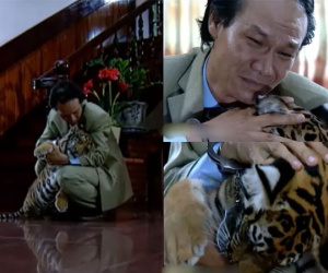 Nam diễn viên Việt suýt mất 'của quý' vì bạn diễn hổ