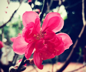 Tết đầu tiên ở nhà chồng, tôi thấy vui đến lạ
