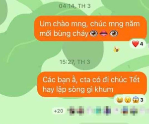 Hào hứng gửi tin nhắn rủ họp mặt dịp Tết, nam sinh choáng trước phản ứng của cả lớp