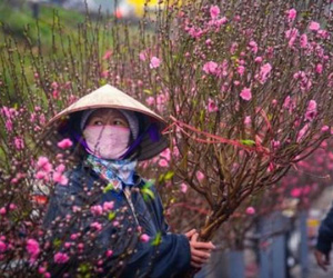 Bắc Bộ chìm trong mưa rét cả tuần sau kỳ nghỉ Tết, Hà Nội đêm mai trời chuyển rét đậm