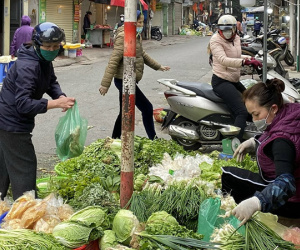 Rau xanh tăng giá chóng mặt, vì sao?