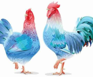 Ngày vía Thần Tài 10/01 năm Nhâm Dần, 3 con giáp may mắn này hốt vàng hốt bạc khiến bao người phải ghen tị