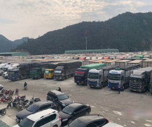 Cửa khẩu quá tải, Lạng Sơn dừng tiếp nhận xe chở hoa quả tươi